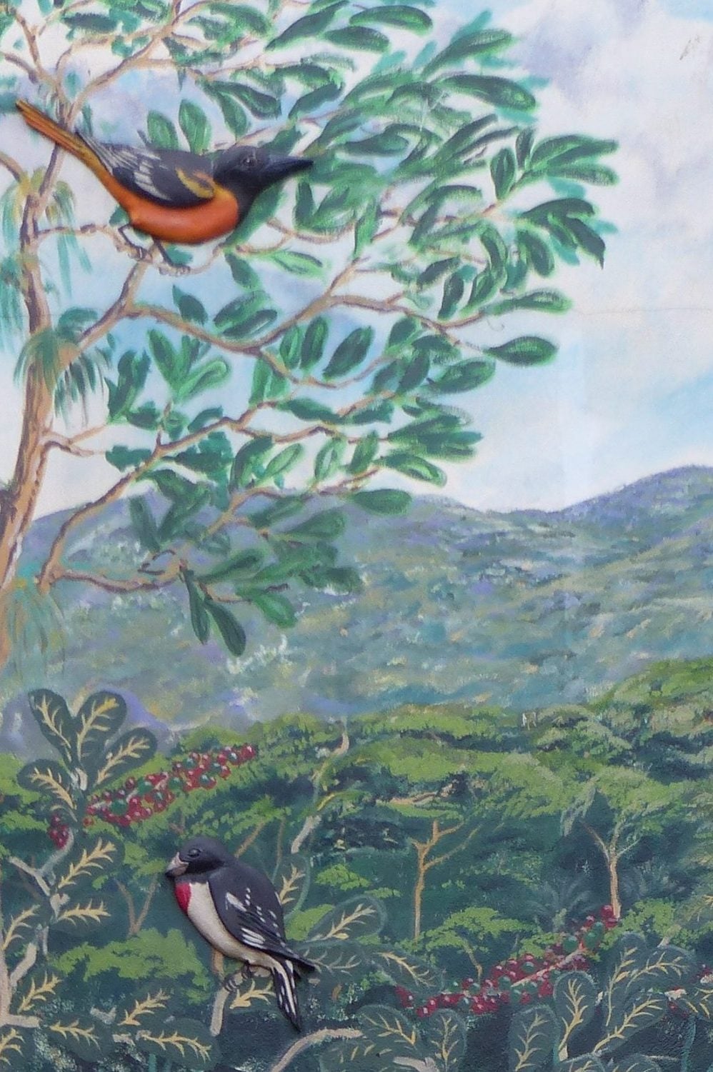 Mural at Birds and Beans Cafe Mural at Birds and Beans Cafe