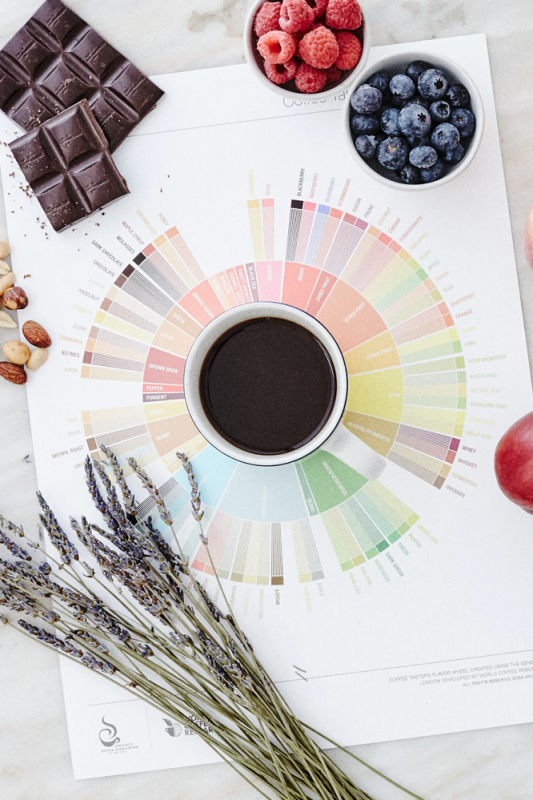 Coffee Tasterβs Flavour Wheel Coffee Taster's Flavour Wheel